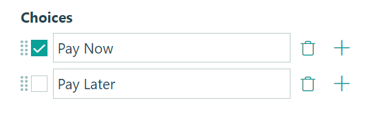Payment options displayed in a checkbox format, with choices for "Pay Now" and "Pay Later."